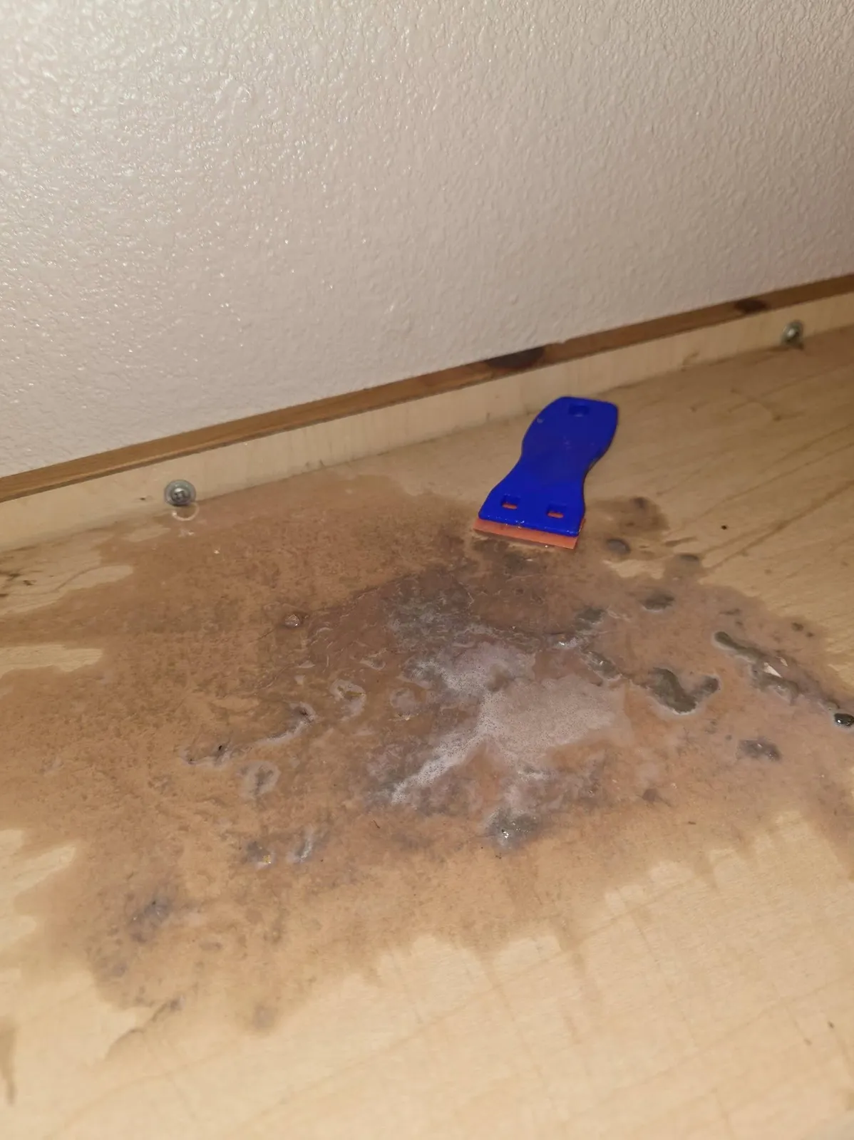Hand-detailing a floor edge during a PureMind deep clean
