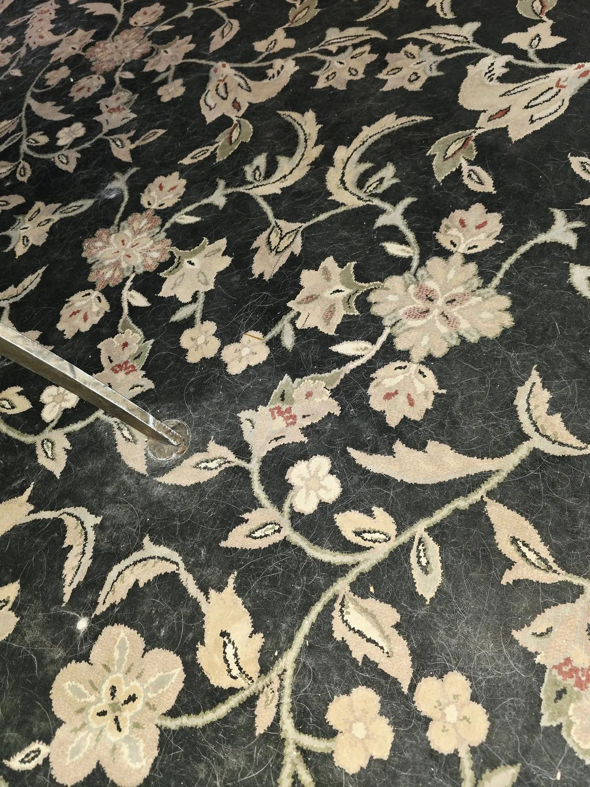 A floral rug freshly groomed